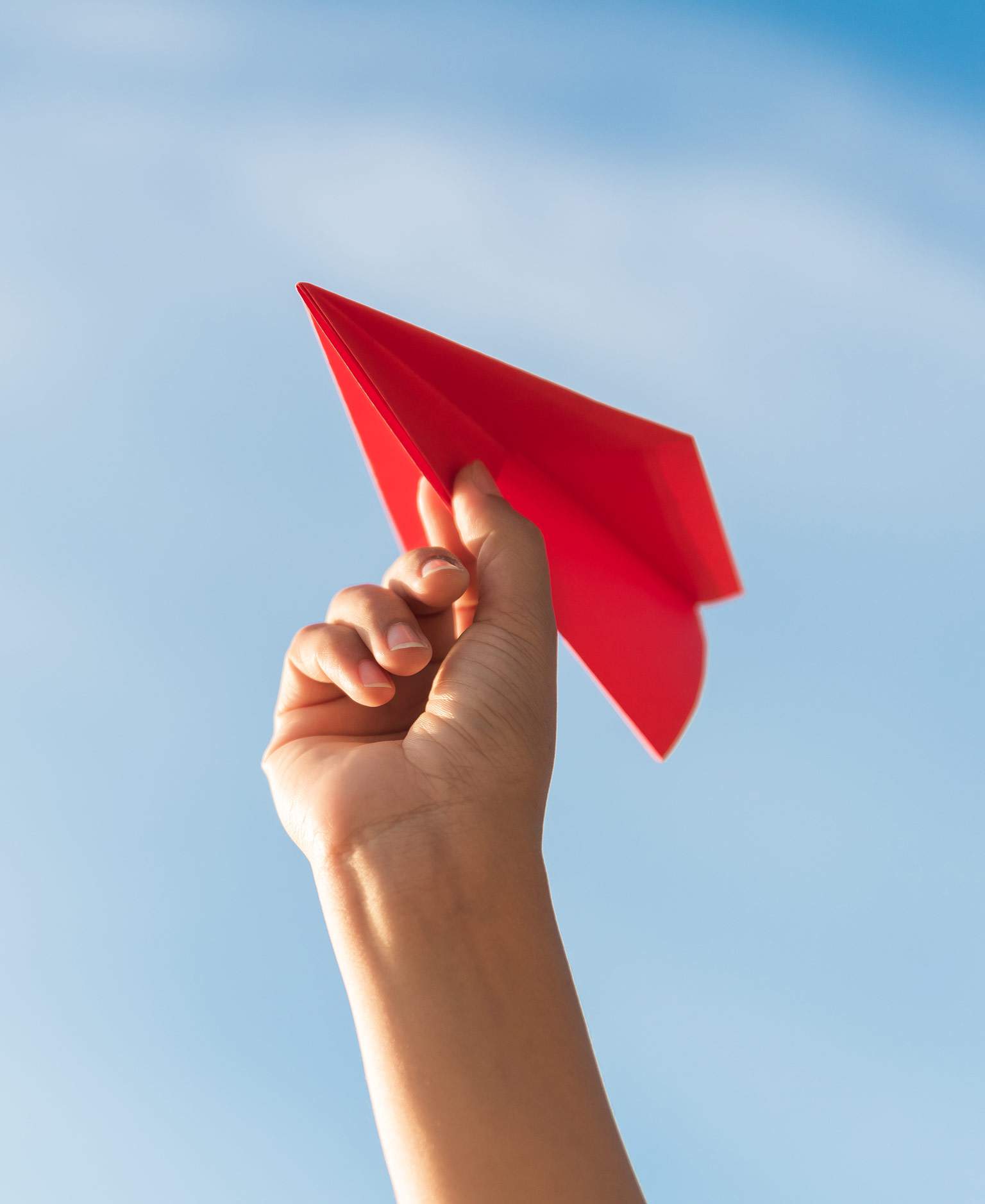 Puesta en línea del sitio web